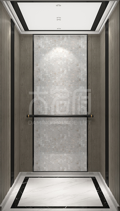 現(xiàn)代風(fēng)風(fēng)格別墅電梯C01