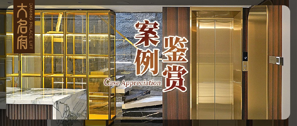 大名府家用電梯案例鑒賞 | 潮流與優(yōu)雅的融合，譜寫浪漫生活樂章