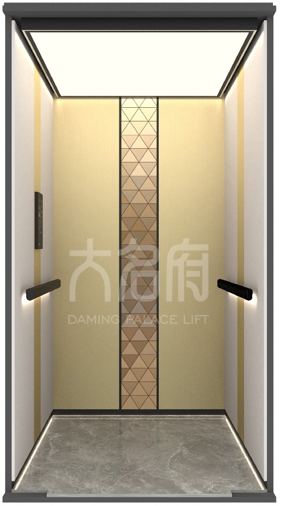 現(xiàn)代風(fēng)風(fēng)格別墅電梯C06