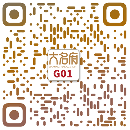 簡約風(fēng)別墅電梯G01