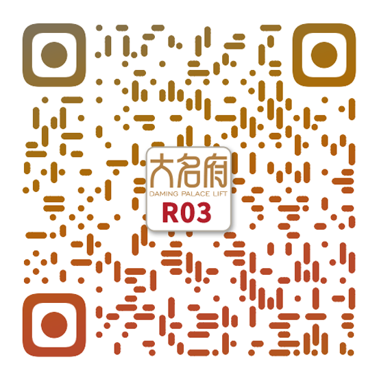 簡約風(fēng)別墅電梯R03