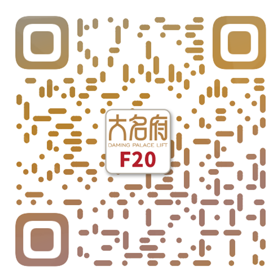 簡約風(fēng)別墅電梯F20